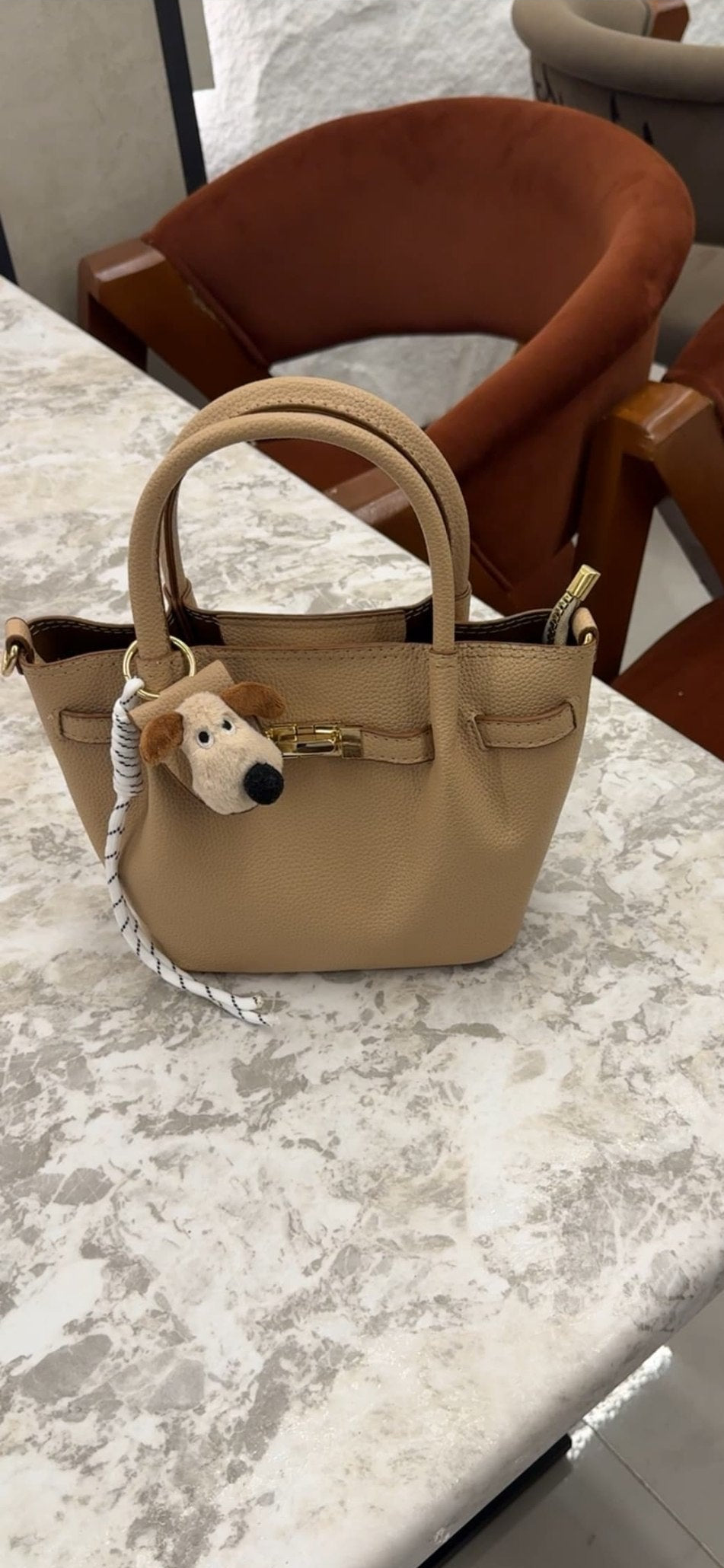 Shein 2 Mini Tote Bag